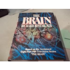 The Brain