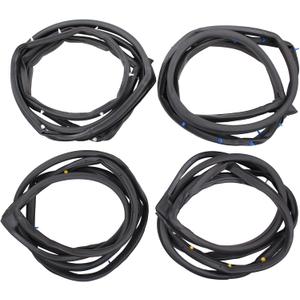 ApplianPar Front and Rear Door Rubber Seal Gasket Weatherstrip Molding for Honda Civic Sedan 2006-2011