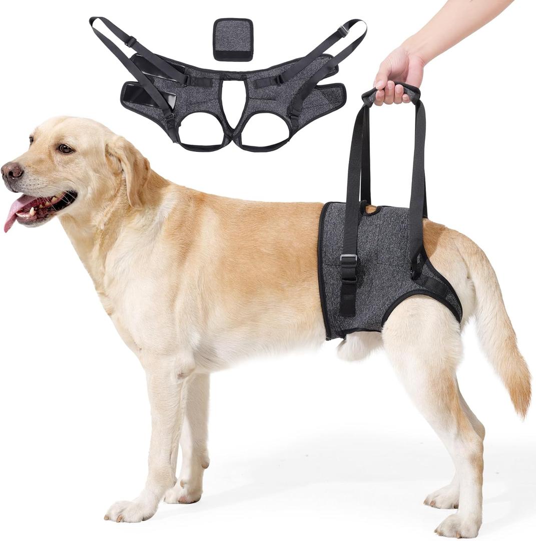 JOHNBOLIN Dog Lift Harness, Dog Sling with Padded, Hind Leg Support to Help Rehabilitate, Helps Senior, Injured, Disabled and After ACL Surgery Dogs (Dark Gray, Small)