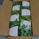 Unittype 12 Pcs Fake Plants Small Artificial Faux Plants for Shelf Mini Plastic Potted Greenery for Home Office Desk Bathroom Bedroom Indoor Decor (Gray) (Grey)