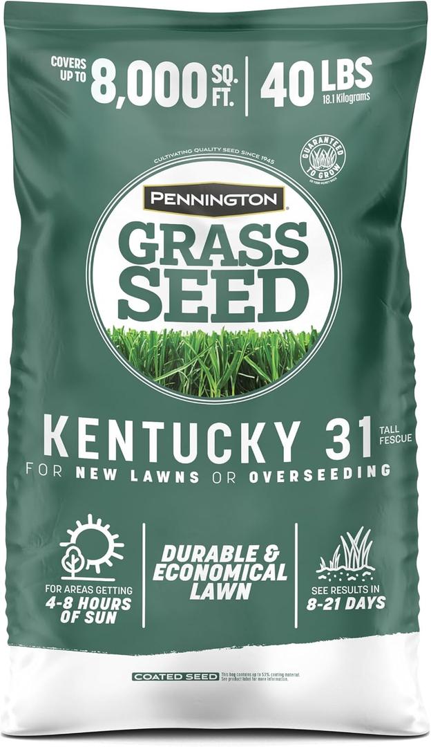 Pennington Kentucky 31 Fescue 40 LB Tall Fescue Grass Seed, Grass Seeds for Lawn (EXP 12/31/36)