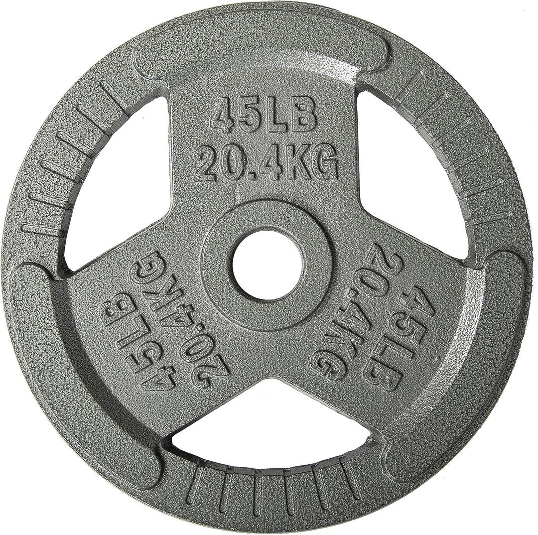 Fitvids Cast Iron Plate Weight Plate for Strength Training and Weightlifting, 2-Inch Center, 45LB (Single)