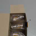 Feit Electric S14 LED Filament Light Bulbs, High Output, 2200K Warm White, 140 Lumens, String Light Replacement Bulbs, 15,000-Hour Lifespan, Clear Durable Housing, S14HO/822/FIL/12, 12 Pack