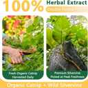 Organic Catnip & Silvervine Spray for Cats - 100% Natural Double Plant Power to Boost Play, Calm Stress & Renew Toys, Scratchers for Indoor Kittens (2 Fl Oz)