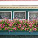 Grunyia 10 Bundles Artificial Fake Flowers, Faux Outdoor Plastic Plants UV Resistant Shrubs Outside Indoor Decorations (Pink-Eucalyptus)