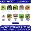 2 Fly Traps Outdoor Fly Trap for Patio with 4 Non-Toxic Dissolvable Bait Refills. Reusable Hanging Bug Catcher Killer for All Filth Flies for Outside Bug Control Yard Ranch. Hanging Chains Included.