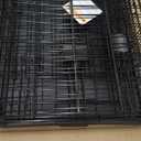 Amazon Basics Durable,Foldable Metal Wire Dog Crate with Tray, Double Door, Divider, 24 x 18 x 20 in, Black