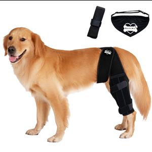 Bark Rx: Dog Knee Brace Hind Leg - Orthopedic Brace for Dogs - Integrated Support Strap for Canine Cruciate Ligament, Luxating Patella, Dislocation Injury - Includes Bandana Collar - Black (S)