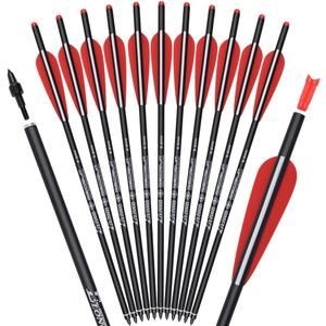 Carbon Crossbow Bolts 16 18 20 Inch Hunting Archery Arrows with 4" Vanes Replaced Arrowhead Tip (Pack of 12)