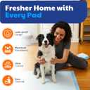 American Kennel Club Scented Puppy Training Pads with Ultra Absorbent Quick Dry Gel 22 x 22 Pee Pads for Dogs - Fresh Scented - Pack of 100