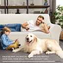 ZNSAYOTX Super Stretch Couch Cover (72"-92") Universal Sofa Covers with Elastic Bottom, Dog Cat Pets Friendly Washable Furniture Protector Fitted Sofa Slipcovers Stay in Place (White, Sofa)
