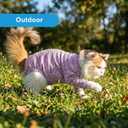FEimaX Cat Recovery Suit for Spay Abdominal Wounds, Kitten Onesie Bodysuit with Zipper for Female and Male Cats After Surgery, Anti-Licking Pet Surgical Pajamas Long Sleeve Front Leg Prevent Shedding L
