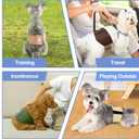 5 Pack Dog Diapers Male Reusable, Premium Belly Bands for Dogs, High Absorbing Male Dog Pee Wraps for Doggie in Incontinence or Excitable Urination, S