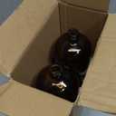Vivaplex, 2, Amber, 32 oz Glass Bottles, with Lids