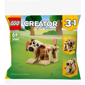 LEGO Creator 30666 Gift Animals Dog Bear Squirrel 3 in 1 Polybagged 75 Piece Set