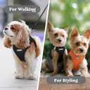 rabbitgoo Small Dog Harness, Step-in Soft Mesh Puppy Vest with Safety Buckle, Breathable Reflective Pet Harness for Small Sized Dogs, Black XS