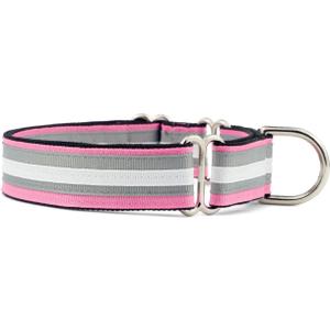 If It Barks 1" Martingale Collar for Dogs, Adjustable Nylon, USA Made, Medium, Spunky (Medium (15"-22"))