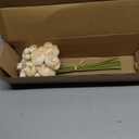 Letjolt Ranunculus Artificial Flower Light Champagne Silk Flowers Faux DIY Bouquet for Wedding Engagement Centerpieces Arrangements Bridal Shower Decorations Home Decor 18pcs