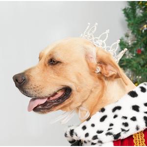 Lovelyshop Pet Series Silver Plated Royal Rhinestone Pearl Full Round Dog/Cat Crown for Rolyal Family Costume Hair Accessories-XLarge Size
