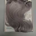 Clip in Hair Extensions Human Hair S-noilite Gray Human Hair Hair Clip in Extensions Full Head 8 Pieces/18 Clips 100% Real Human Hair Silky Straight 18"-100g Light Gray (#G1)