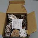 JOHOUSE 40PCS Snow Pinecones for Decorating, Natural Pine Cones for Crafts Vase Filler Christmas Tree Winter Holiday Hanging Ornaments