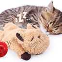 ALL FOR PAWS Cat Toys for Indoor Cats, Purring Cat, Catnip Toys, Cat Plush Toy, Cat Pillow, Anxiety Toys, Kitten Toys, Pet Toy