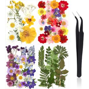 Nuanchu Pressed Flowers Bulk Dried Flower for Crafts Dried Wildflowers Leave Natural with Tweezer for Resin Mold Candles Cake DIY Christmas Craft Card Making Wedding Scrapbooking Supplies (Bright Colors)