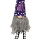 University Washington Shelf Sitter Gnome