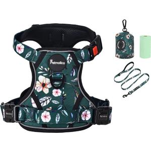 Petmolico No Pull Dog Harness Set with Leash Attachment Easy Control Handle Reflective Harness Vest Small Breed, Puppy Vest and Leash Set with Poop Bag Holder, Small - Green Rhododendron
