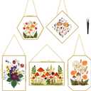 BABUFINE Pressed Flower Frames with Tweezers, Wall Hanging Double Glass Picture Frames with Chain for Dried Flowers Plants Wall Decor,Only Frame (Gold-5PCS)