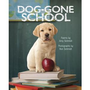 Dog-Gone School