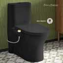 Swiss Madison Aqua Non-Electric Bidet Toilet Attachment in Glossy Black with Polished Gold Hardware