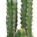 Artificial Cactus 37 Inch Faux Cacti Fake Cactus Saguaro Potted Plants for Indoor Outdoor Home Offices Store Decoration