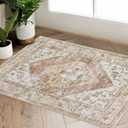 Beeiva Boho Throw 2X3 Entryway Rug, Small Rugs for Bedroom Ultra Thin Non Slip Washable, Small Khaki Carpet Lightweight Indoor Door Mats for Entryway Bedroom