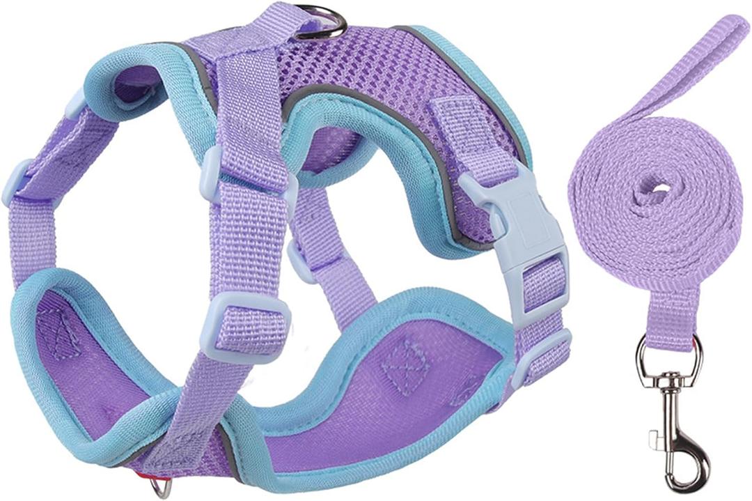 Cat Harness and Leash Set for Walking  Escape-Proof Reflective Vest for Cats and Small Dogs, Adjustable Soft Air Mesh with Pressure-Reducing Design, 4.92ft (Blue & Purple, L)