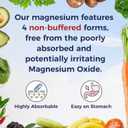 Vitalitown Magnesium Complex Supplement 500mg - NSF Certified Magnesium Glycinate, Malate, Taurate & Citrate - Chelated High Absorption & Gentle on Stomach - Vegan Non-GMO 240 Capsules (BBD 05/2028)