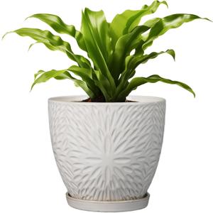 G EPGardening 8 Inch Ceramic Plant Pot with Drainage Hole and Saucer Round Planter Pot for Indoor Outdoor Plants Modern Large Flower Pot White