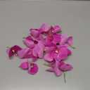 LARDUX 20 PCS Artificial Orchid Flower Heads - Fake Butterfly Flower Heads Faux Flower Head Bulk for Cakes Hair Accessories Headbands Hats Wedding Crafts Decoration - Fuchsia