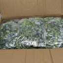 6pcs Artificial Vines Eucalyptus Garland Faux Eucalyptu Garland 5.8ft Artificial Eucalyptus Garlands Vine Garlands for Table Decor for Wedding Party Home, Classroom, Wall,Party Decoration