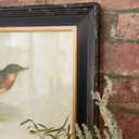 Deco 79 Wood Bird Framed Wall Art with Black Frame, Set of 2 20"W, 14"H, Black