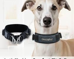 AnccoPlus Comfort Walking Dog Collar Size S Color Grey
