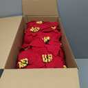 2 Pack 18" Lighted Large Artificial Poinsettias for Outdoors LED Poinsettia Flowers Artificial Faux Poinsettia Plants Poinsettia Christmas Decorations for Office Home Kitchen Decor (Red)