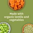 Amy's Soup, Vegan, Gluten Free, Organic Lentil, 14.5 Ounce (Pack of 12)