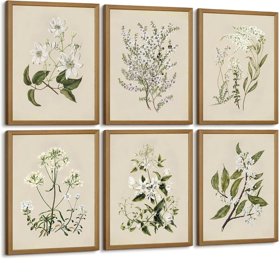 Baccone Vintage Botanical Wall Art Set of 6 Neutral Floral Canvas Wall Decor Wildflower Wall Art Watercolor Flower Prints Botanical Poster Minimalist Plant Pictures for Bedroom Room 12x16 Inch Framed