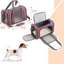 Mr. Pen- Pet Carrier, 17.5" x 11.2" x 11.5", Medium Size, Pink, Portable Travel Carrier for Small Pets, Cats & Small Dogs, Breathable Mesh, Safety Inner Leash, Side Pocket & Padded Shoulder Strap