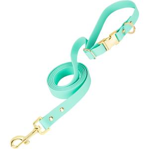 PetBonus Waterproof Dog Leash, 5 FT Odor Proof Walking Training Lead for Small Medium Dog, Adjustable Handle with Side Release Buckle (M, Mint Green) (Medium (Up to 90 lbs))