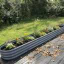 Galvanized Raised Garden Bed, 12x2x1ft Oval Metal Planter Box | Easy Tool-Free Assembly, Beginner & Senior Friendly, 12" Tall Large Outdoor Gardening Beds for Vegetables, Flowers, Herb Gray