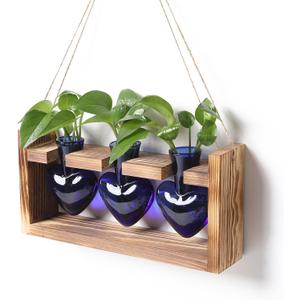 Plant Terrarium Propagation Stations Hydroponics Home Garden Decoration Gift for Women with Wooden Stand Heart Shaped Colored Glass Vase (Blue)