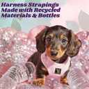 EcoBark Step in Dog Harness - Eco-Friendly Dog Halter Harness for XS, Small, & Medium Breed Dogs - Soft Luxurious Mesh - Reflective and Adjustable - Dog Body Chest Harness Vest (Baby Pink, Medium)