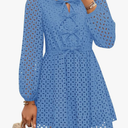 ZESICA Women's Long Sleeve Mini Dress 2025 Fall Crewneck Tie Front Hollow Out Eyelet Babydoll A Line Short Dresses XL